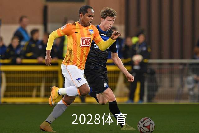 关于2028体育